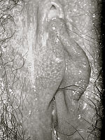 Photo 9, Ambers Hairy And