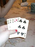 Photo 7, Playing Strip Poker