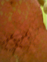 Photo 3, Horny Little Tart