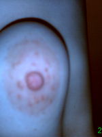 Photo 2, My Sexy Sloppy Wife