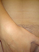 Photo 3, This Nymph Was Already