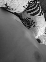Photo 15, Ma Petite Pute -