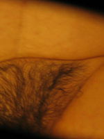 Photo 6, Amateur Mature Porn