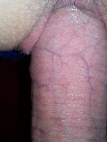 Photo 2, Bitch Slut Bitch