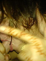 Photo 6, One Nite Adventure