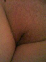 Photo 19, Chubby Yorkshire