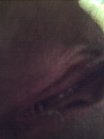 Photo 11, Angelica R - My