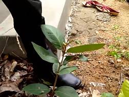 8 min - Indian desi outdoor forest