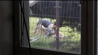 couple caught going hard