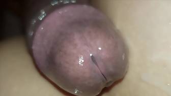 pawg creams neighbors big